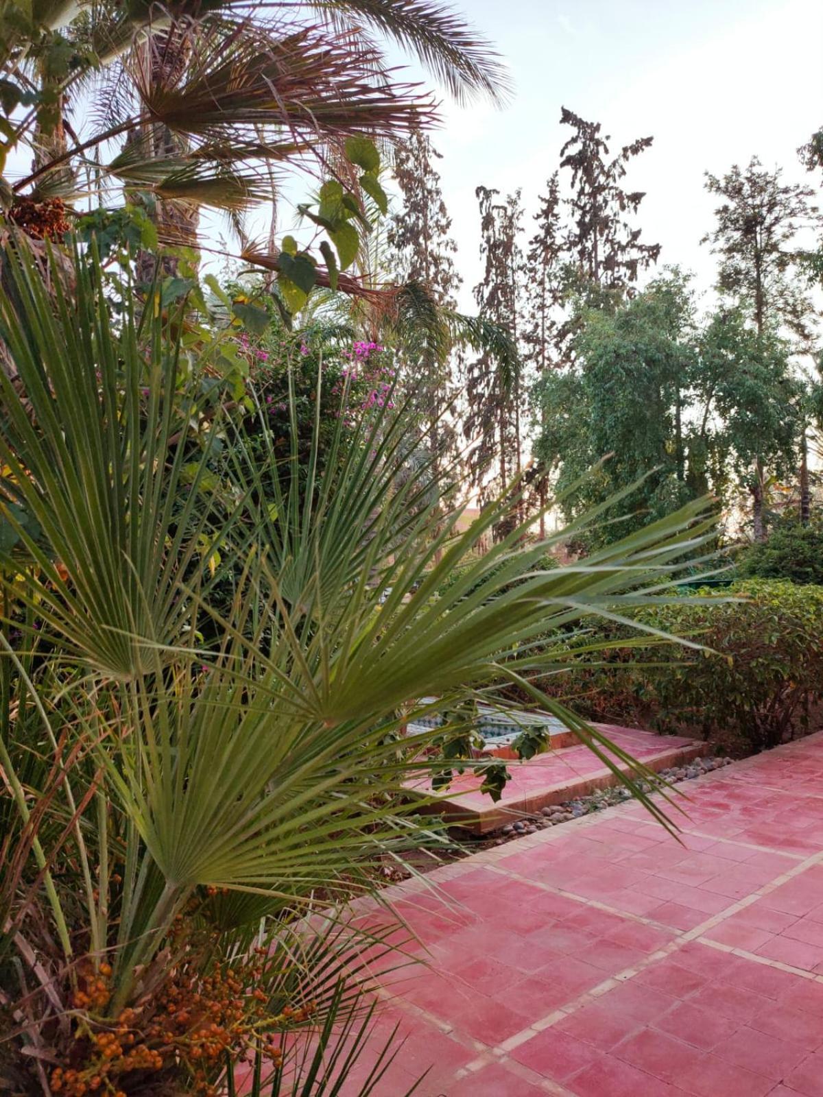 Riad Sheherazade Marrakech 마라케시 외부 사진