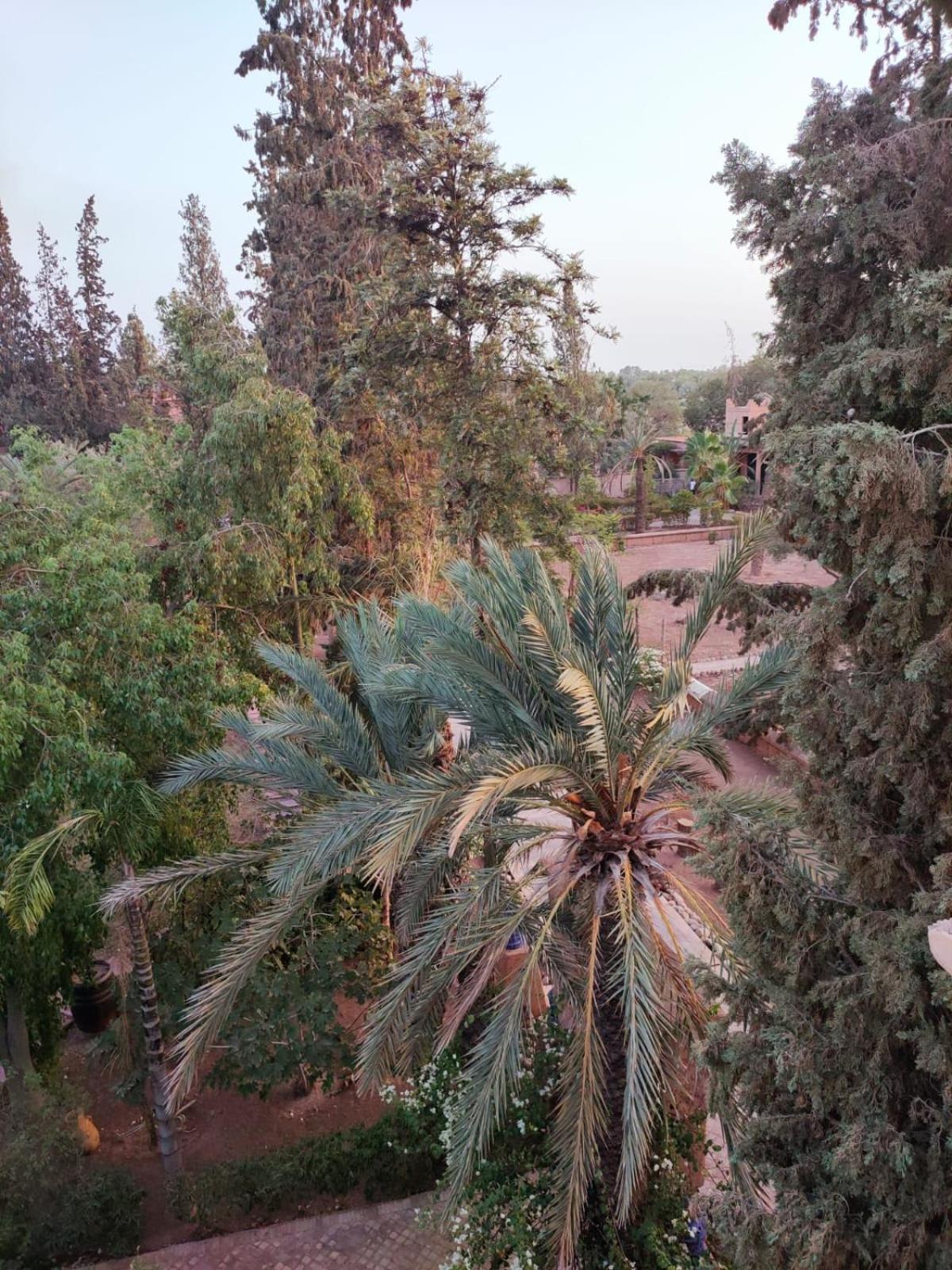 Riad Sheherazade Marrakech 마라케시 외부 사진