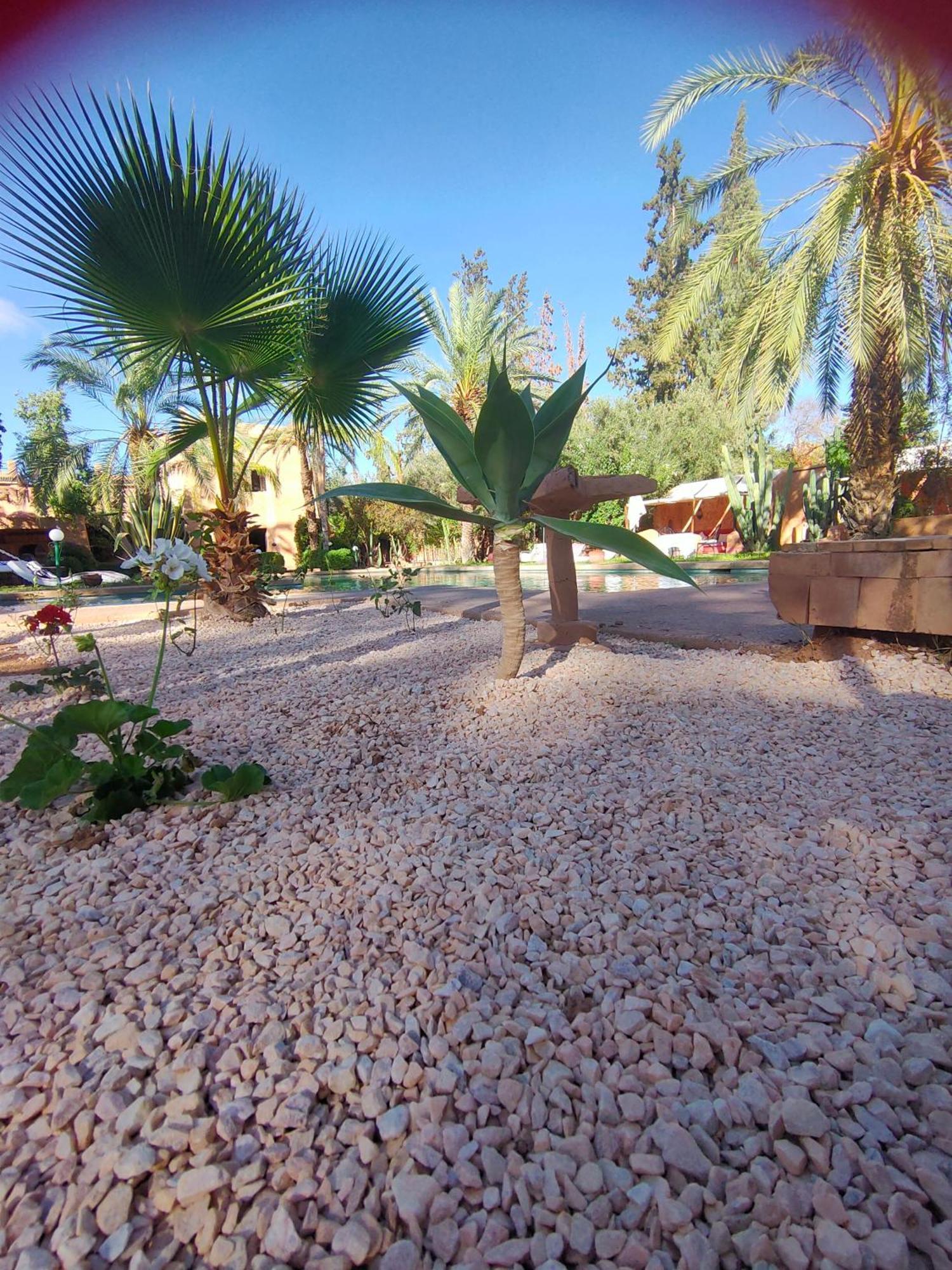 Riad Sheherazade Marrakech 마라케시 객실 사진